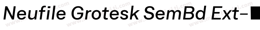 Neufile Grotesk SemBd Ext字体转换